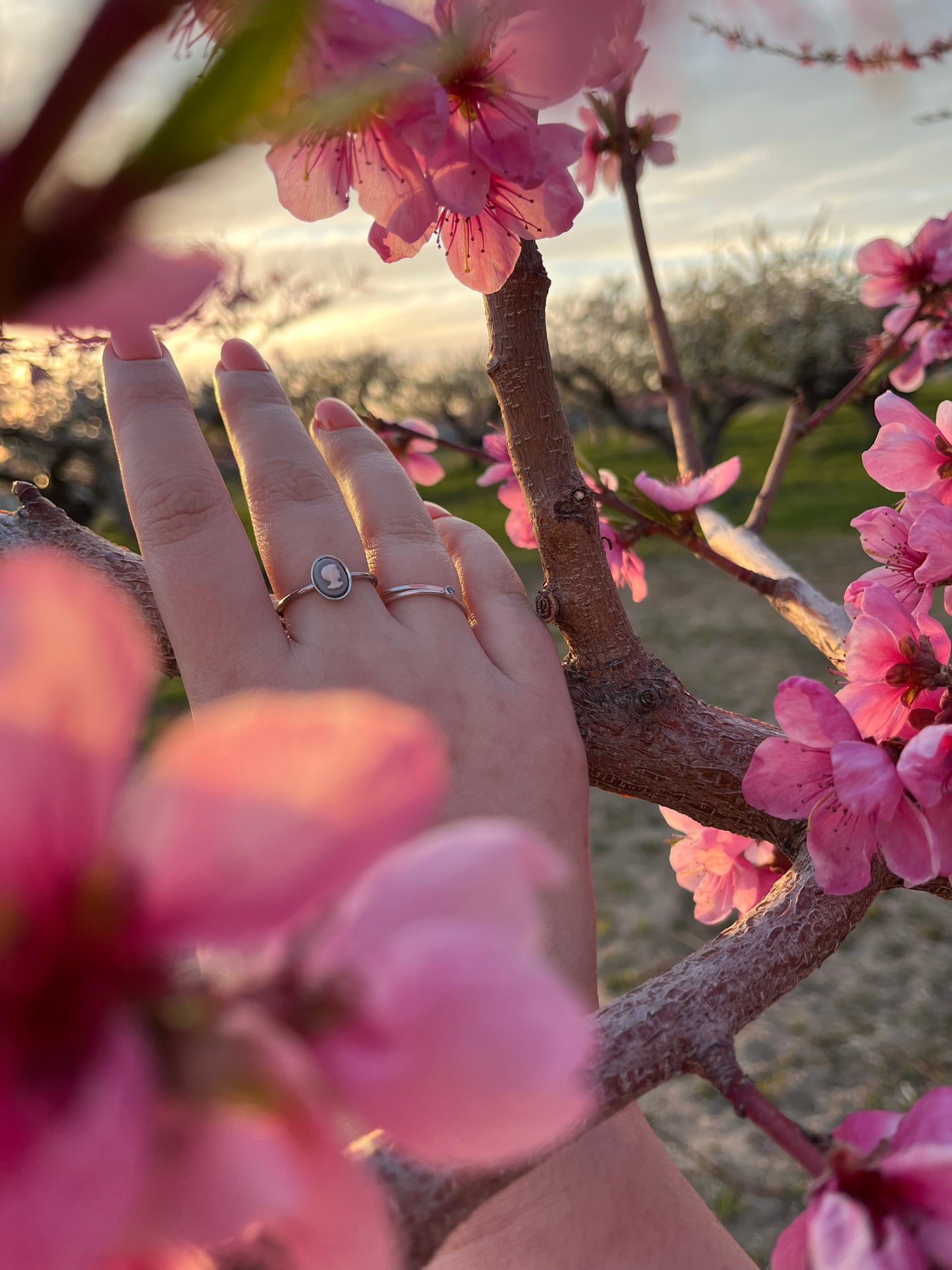 Aurelia Cameo | Ring