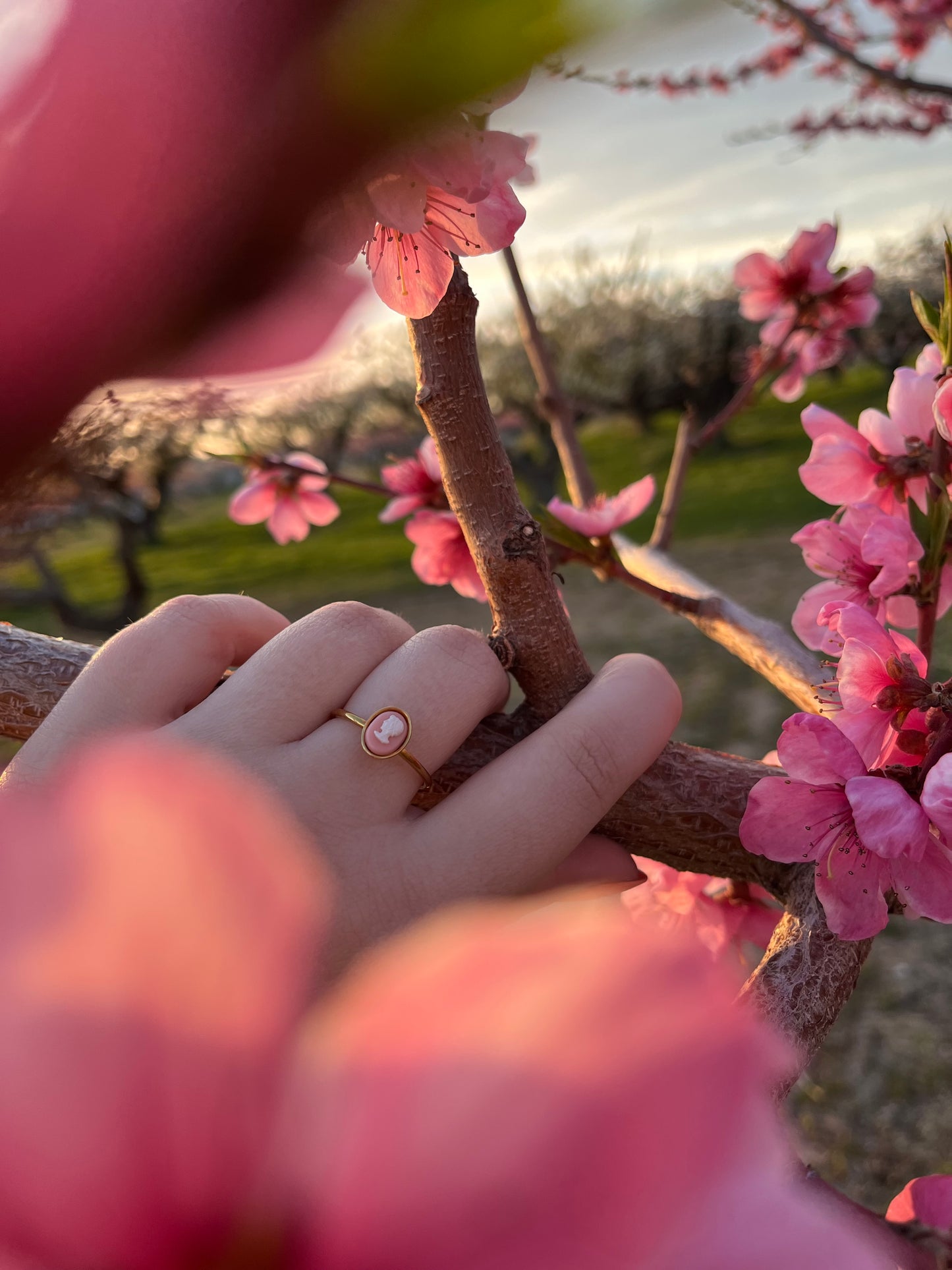 Aurelia Cameo | Ring