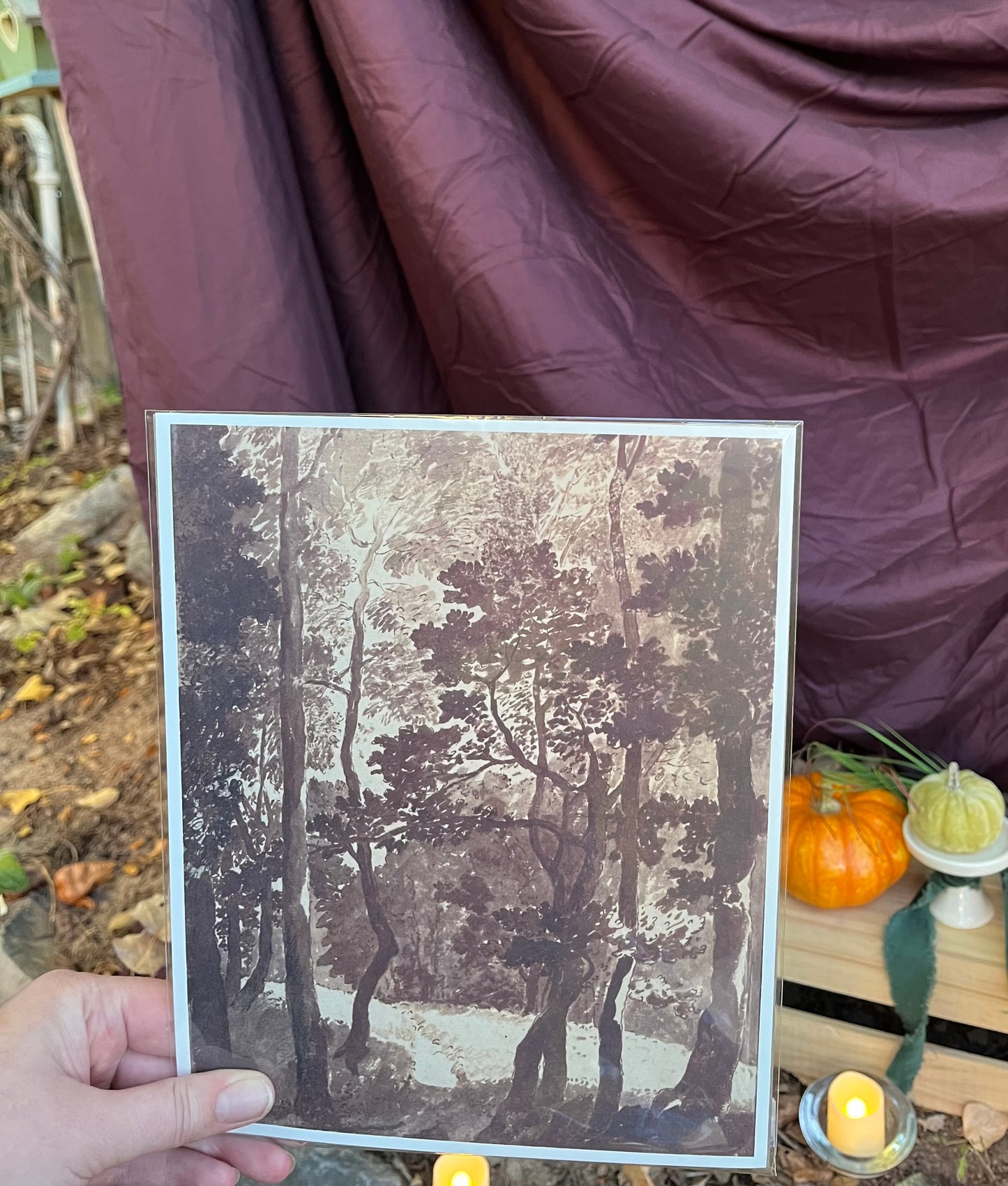 Vintage Print | Treescape