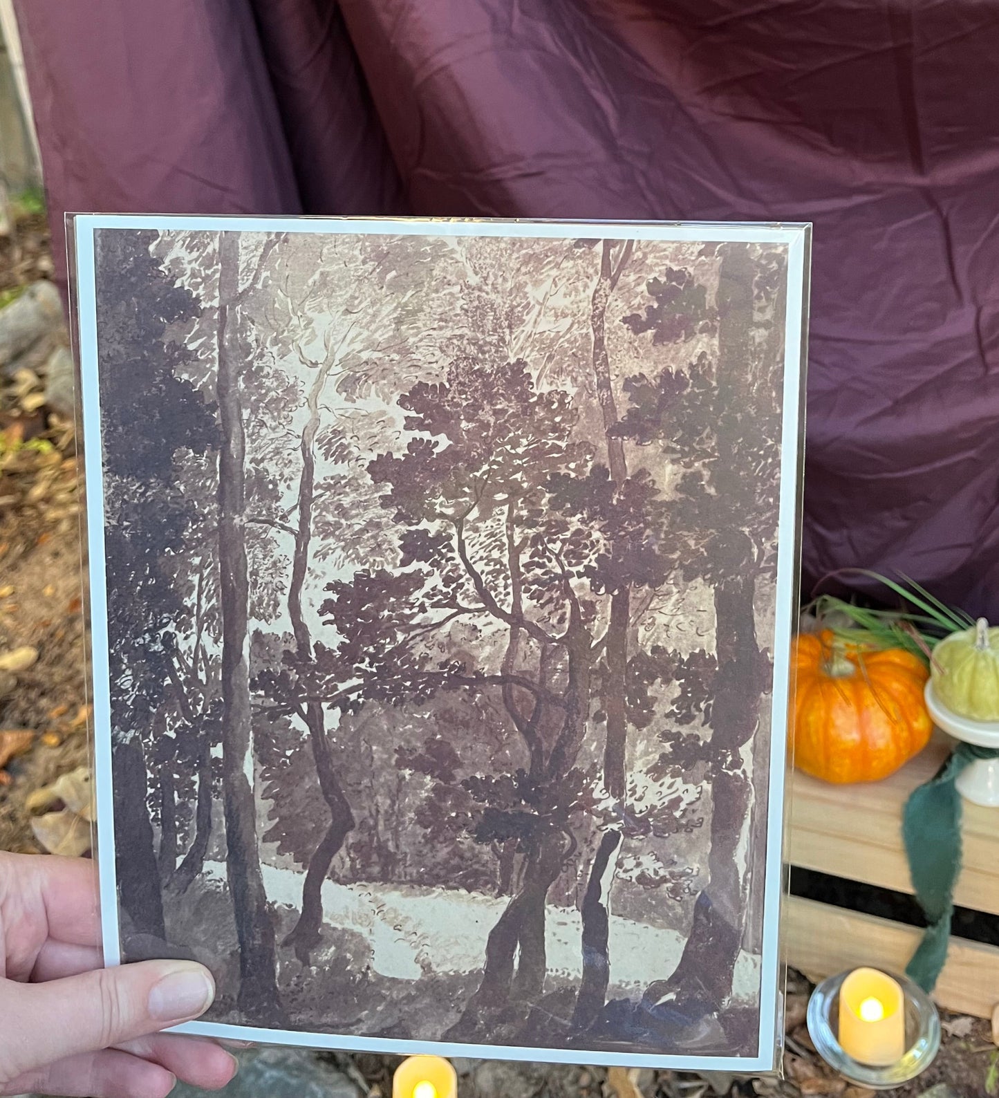 Vintage Print | Treescape